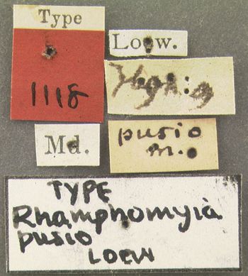 Media type: image;   Entomology 1118 Aspect: labels